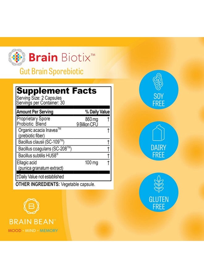 Brain-Bean Brain Bean Brain Biotix | Gut and Brain Spore-Based Probiotic and Prebiotic | 30 Servings - Image 4