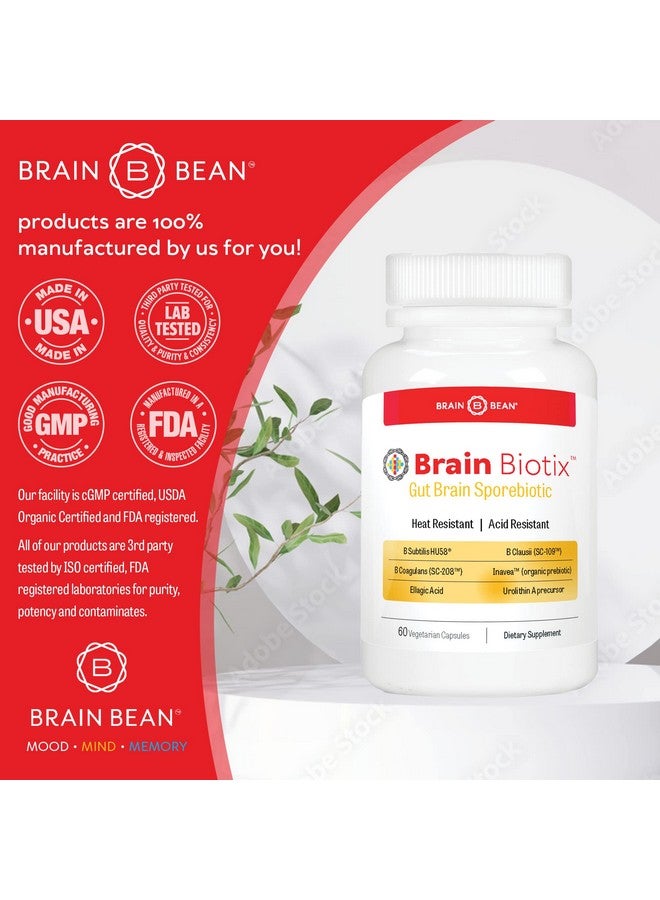 Brain-Bean Brain Bean Brain Biotix | Gut and Brain Spore-Based Probiotic and Prebiotic | 30 Servings - Image 5