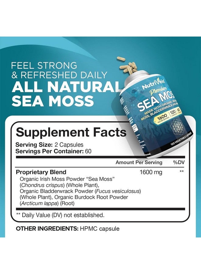 Nutrivein Nutrivein Organic Sea Moss 1600mg Plus Bladderwrack & Burdock - 120 Capsules - Prebiotic Super Food Boosts The Immune System & Digestive Health - Thyroid, Healthy Skin, Keto Detox, Gut, Joint Support - Image 2