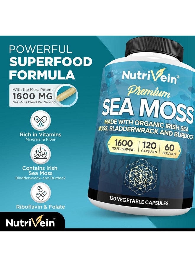 Nutrivein Nutrivein Organic Sea Moss 1600mg Plus Bladderwrack & Burdock - 120 Capsules - Prebiotic Super Food Boosts The Immune System & Digestive Health - Thyroid, Healthy Skin, Keto Detox, Gut, Joint Support - Image 3