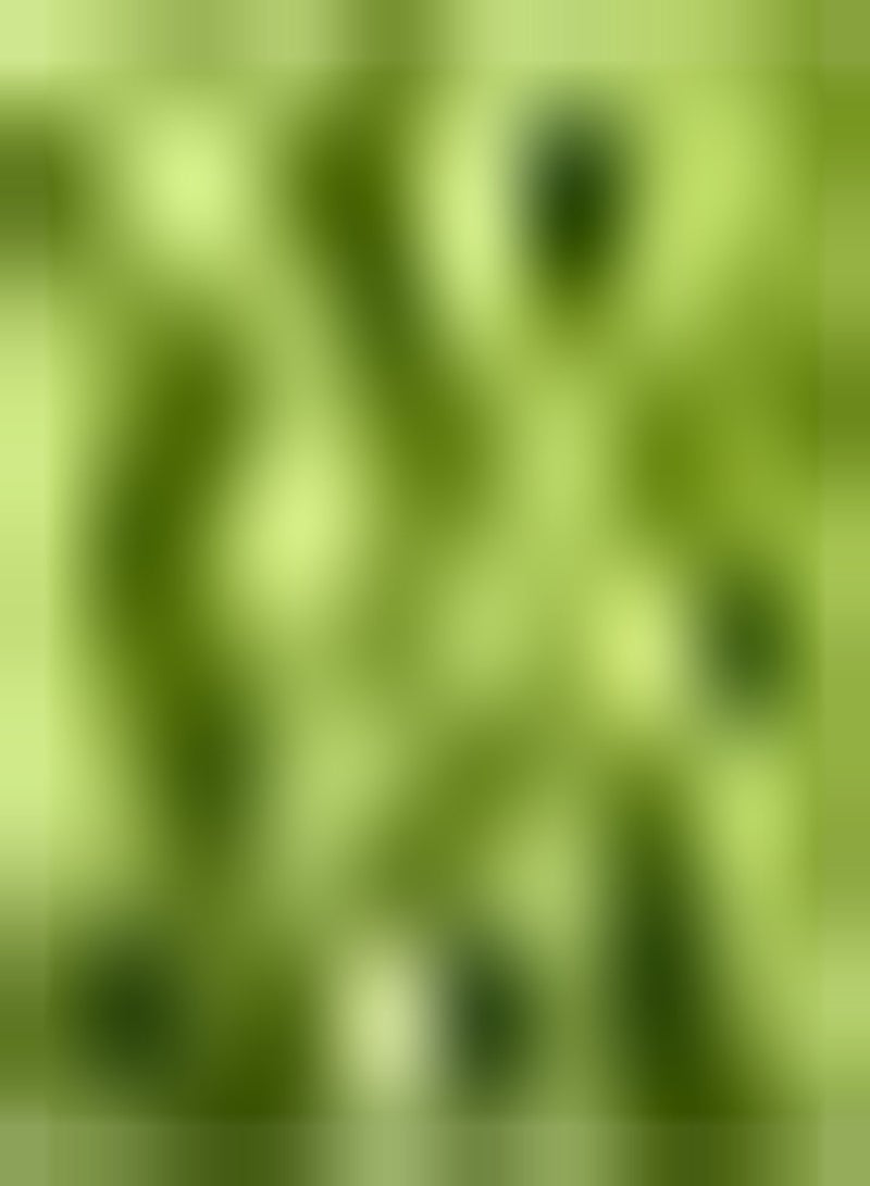 جي جوت 50 قطعة من بذور الخيزران مادة مثالية للحديقة لتصميم المناظر الطبيعية والمناظر الطبيعية مزروعة على نطاق واسع في جميع أنحاء العالم تأثير الزراعة في مساحة كبيرة جيد - Image 1