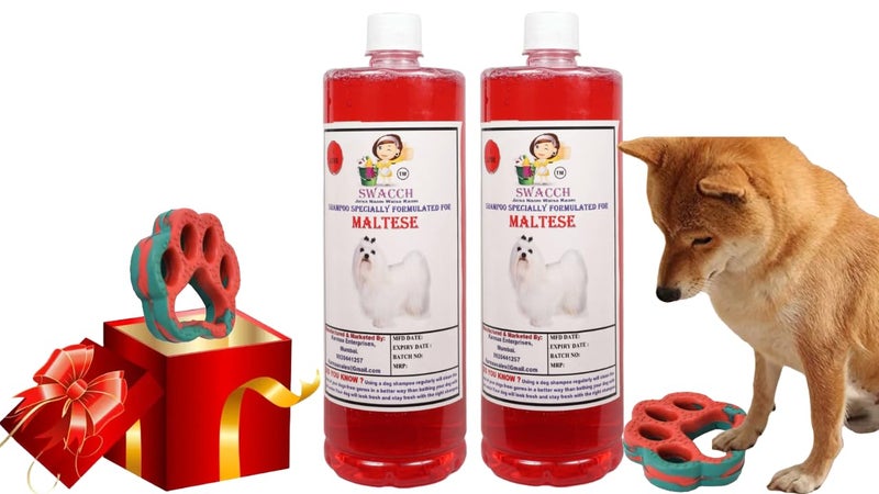 swacch Maltese Dog Shampoo + Paw Shape I Rubber Dog Toy for Training and Interactive I Durable & Safe I Combo Pack I 2 Litre Jasmine - Image 1