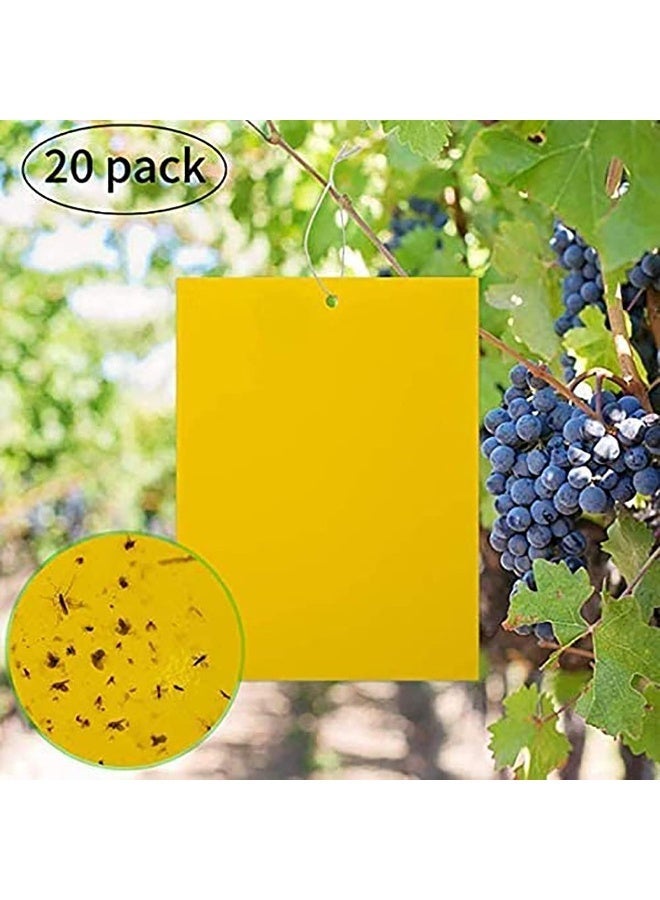 ChicAbode 20 حزمة من مصائد الذباب اللاصقة الصفراء، ملصقات ورقية للذباب، مصائد ذباب لاصقة مزدوجة الجوانب للحشرات ضد البعوض الفطري، الذباب الأبيض، حشرات المن، حشرات نخر الأوراق، إلخ - 15 × 20 سم، مع أربطة لولبية - Image 3