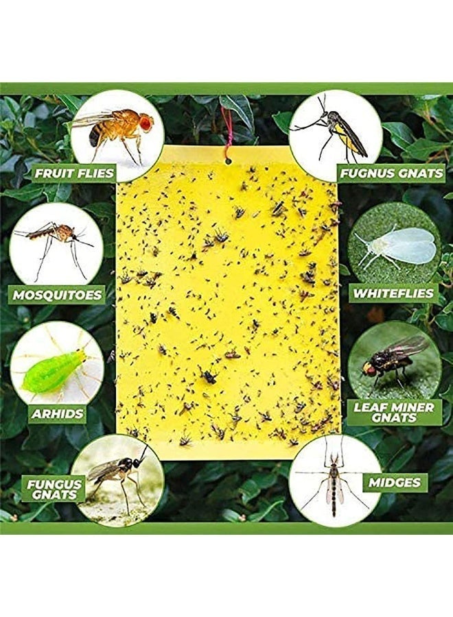 ChicAbode 20 حزمة من مصائد الذباب اللاصقة الصفراء، ملصقات ورقية للذباب، مصائد ذباب لاصقة مزدوجة الجوانب للحشرات ضد البعوض الفطري، الذباب الأبيض، حشرات المن، حشرات نخر الأوراق، إلخ - 15 × 20 سم، مع أربطة لولبية - Image 5