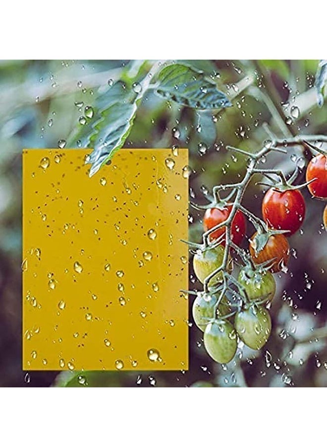 ChicAbode 20 حزمة من مصائد الذباب اللاصقة الصفراء، ملصقات ورقية للذباب، مصائد ذباب لاصقة مزدوجة الجوانب للحشرات ضد البعوض الفطري، الذباب الأبيض، حشرات المن، حشرات نخر الأوراق، إلخ - 15 × 20 سم، مع أربطة لولبية - Image 4