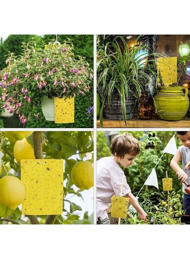 ChicAbode 20 Pcs Yellow Sticky Fly Traps, Fly Paper Stickers, Sticky Fly Catchers Dual Side, Uv Resistant and Waterproof, for Insect Against Fungus Gnats, Whiteflies, Aphids, Leafminers,Etc, 15X20Cm - Image 3