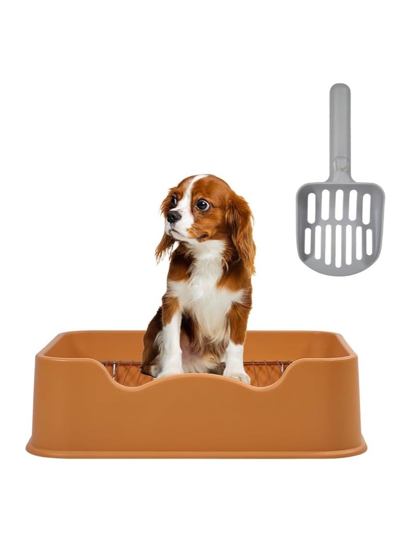 أن ان سي بيتس مرحاض للكلاب مع شبكة من الفولاذ المقاوم للصدأ، ومغرفة قمامة وقاعدة غير قابلة للانزلاق، وصينية قعادة للكلاب بطول 52 سم للكلاب الصغيرة والمتوسطة، ووسادة تدريب للحيوانات الأليفة للاستخدام الداخلي/الخارجي (برتقالي) - Image 1