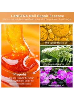 LANBENA Nail Repair Essence Serum, Nail repair, repairs and renews damaged, broken, cracked and discolored nails (15ml)  - Image 5