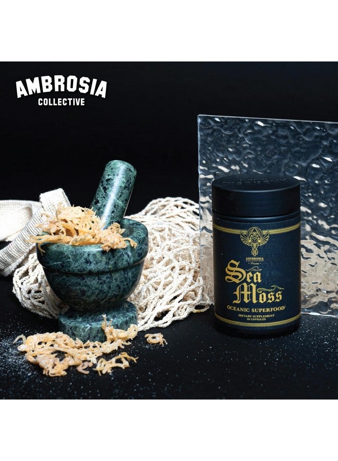 Ambrosia Irish Sea Moss Capsules | High Dose 500 mg/Serving | Made with Organic Sea Moss | Veggie Capsules - Image 3