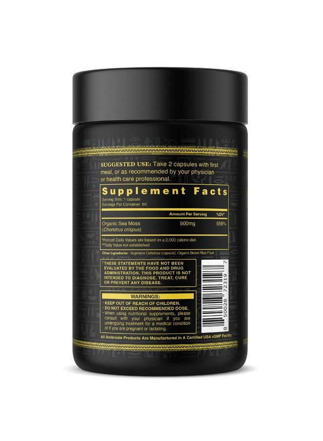 Ambrosia Irish Sea Moss Capsules | High Dose 500 mg/Serving | Made with Organic Sea Moss | Veggie Capsules - Image 4