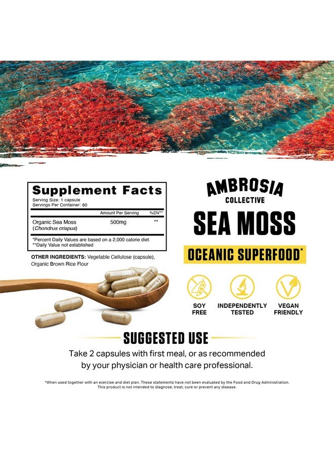 Ambrosia Irish Sea Moss Capsules | High Dose 500 mg/Serving | Made with Organic Sea Moss | Veggie Capsules - Image 2