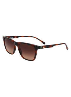 LACOSTE FULL RIM BIO INJ-G820 INJECTED LACOSTE SUNS L6041S 5418 (214) HAVANA  - Image 1