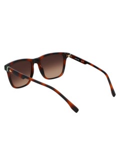 LACOSTE FULL RIM BIO INJ-G820 INJECTED LACOSTE SUNS L6041S 5418 (214) HAVANA  - Image 5