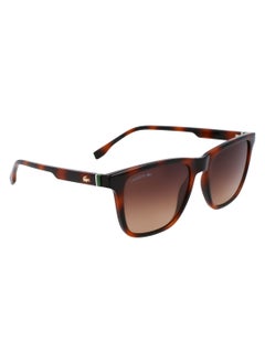 LACOSTE FULL RIM BIO INJ-G820 INJECTED LACOSTE SUNS L6041S 5418 (214) HAVANA  - Image 3