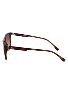 LACOSTE FULL RIM BIO INJ-G820 INJECTED LACOSTE SUNS L6041S 5418 (214) HAVANA  - Image 4