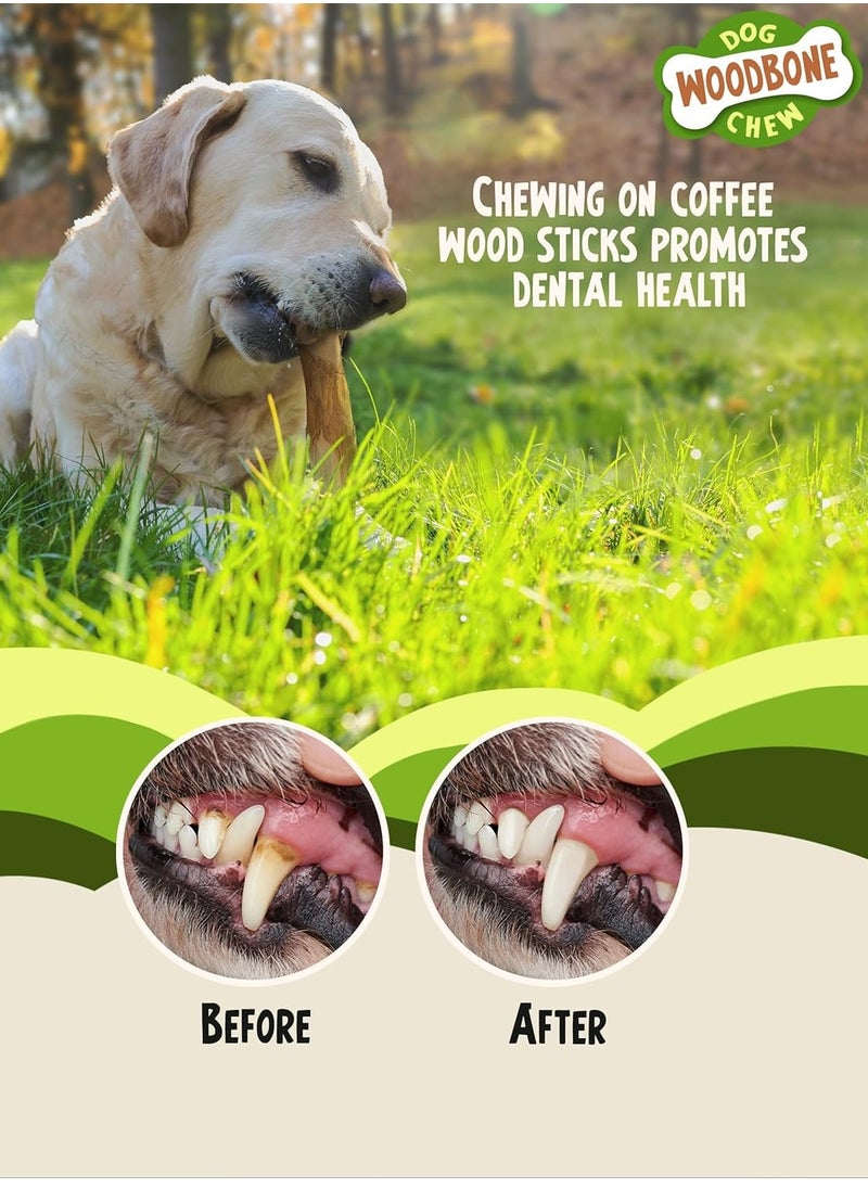 wood Coffee Tree Root Dog Chew for Medium Dogs Natural Wood Dental Chewing Toy Size M  - Image 3