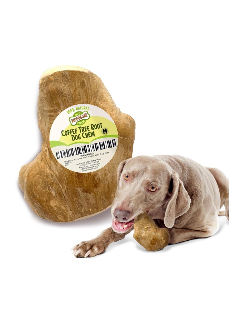 wood Coffee Tree Root Dog Chew for Medium Dogs Natural Wood Dental Chewing Toy Size M  - Image 1