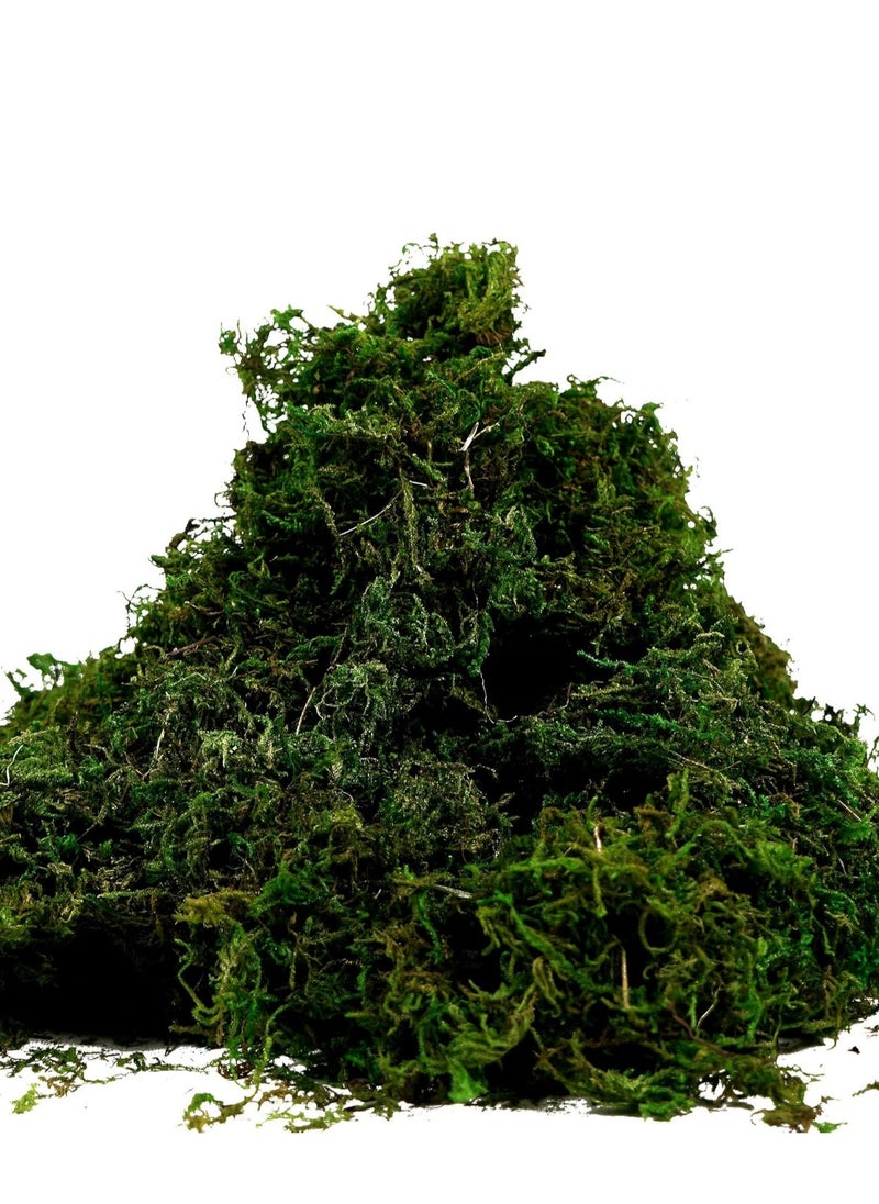 Generic 𝐅𝐅𝐃 "Premium Preserved Moss (800g) – Natural Green Dried Moss for Plants, Terrariums, Home Decor – Eco-Friendly, Long-Lasting, Moisture Retaining"  - Image 1