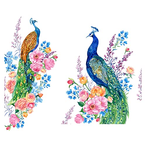 Sticker Yard Beautiful Peacock Vinyl Wall Sticker for Living Room/Bedroom/Office and All Decorative Wall Stickers 76X66 CM-Self-Adhesive - Image 2