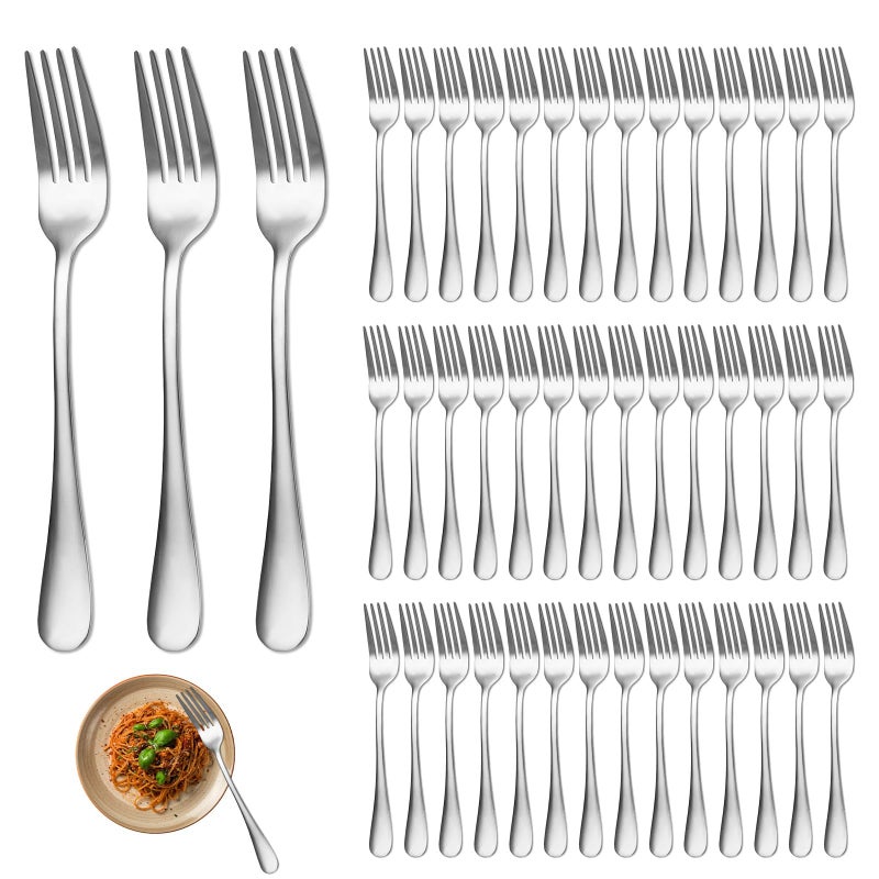 DAJAVE Forks Set of 48 Piece Stainless Steel Dinner Forks Metal Dining Forks Set Mirror Polishing Cutlery Fork for Home Hotel and Restaurant  81inch