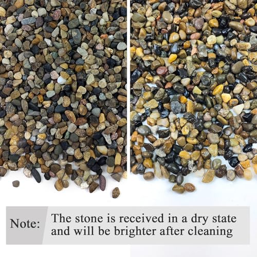 FANTIAN 10LB Pea Gravel for Landscaping,1/4 Inch Aquarium Gravel. Decorative River Rocks for Fish Tank Succulent Vase Cactus Bonsai Plant Soil Cover and Outdoor Landscaping Rocks - Image 3