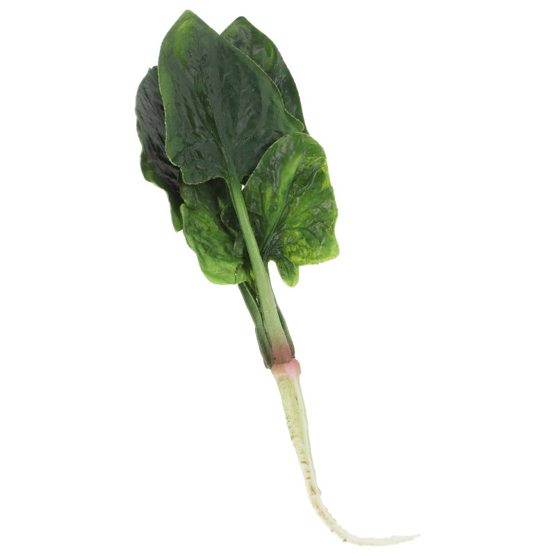 2pcs Realistic Artificial Fake Vegetables Lifelike Decorative Food Set Faux Veggies For Home Kitchen Decor Set Photo Props - Image 5
