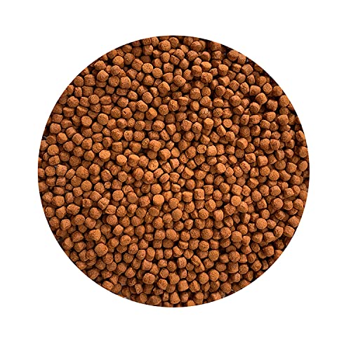 VAYINATO فاييناتوا إنش غذاء سمك معزز لون الببغاء الأحمر (400 جرام) - Image 4