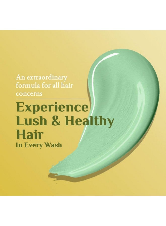 ريتشفيل شامبو أرنيكا المضاد للقشرة - يزيل قشرة الرأس ويخفف من الزيوت الزائدة ويهدئ الحكة | 100 مل - Image 5