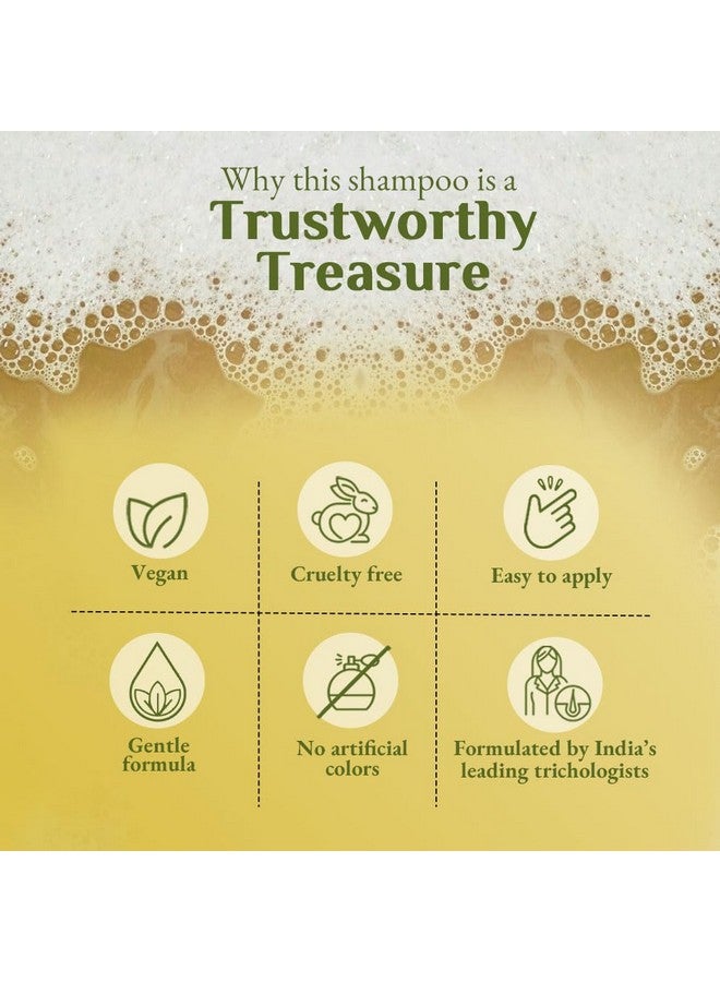 ريتشفيل شامبو أرنيكا المضاد للقشرة - يزيل قشرة الرأس ويخفف من الزيوت الزائدة ويهدئ الحكة | 100 مل - Image 3