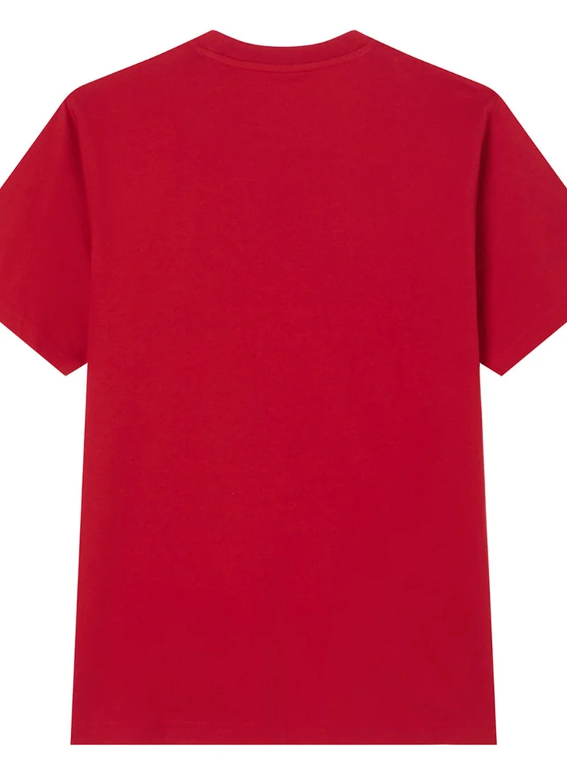 GIORDANO  Men’s Slim Fit Cotton Crew Neck Tee for Men | Best Price UAE