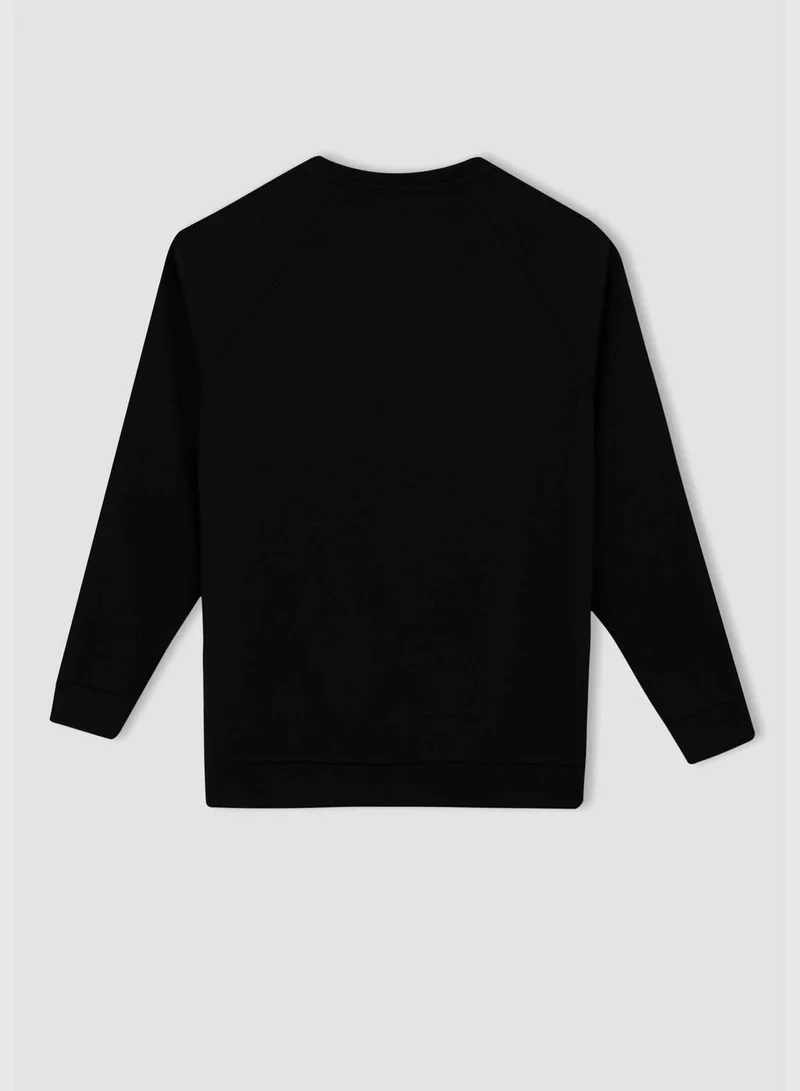 DeFacto Man Crew Neck Knitted Sweatshirt