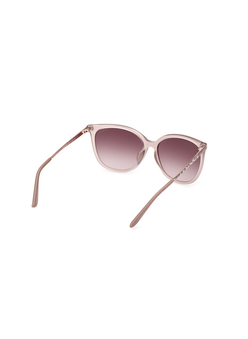 Plastic Square Full Rim Women Uv Protection Sunglass