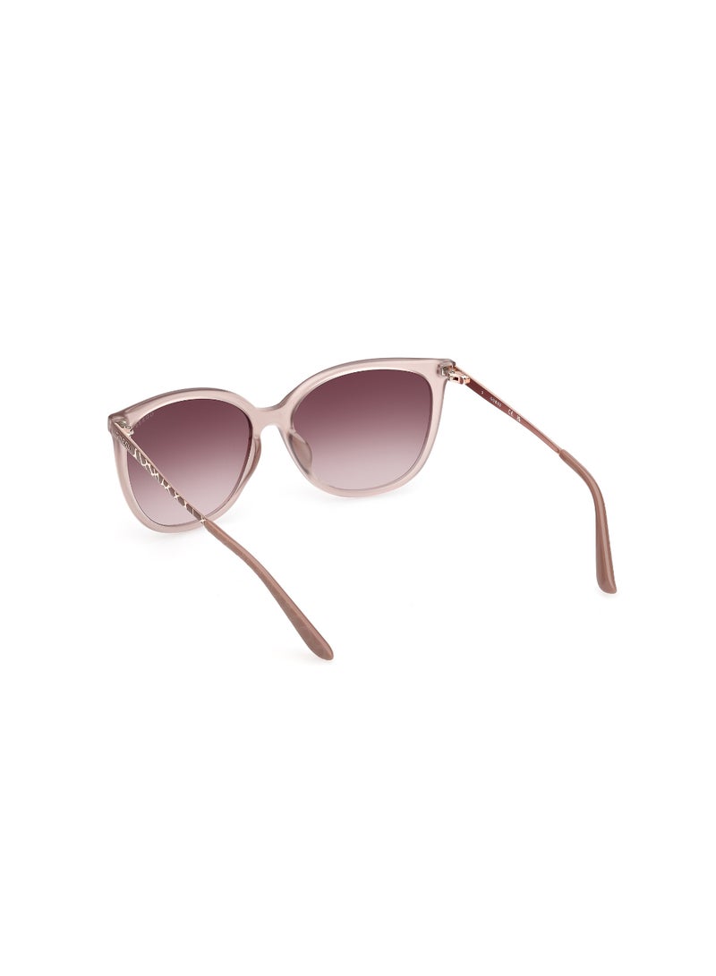 Plastic Square Full Rim Women Uv Protection Sunglass