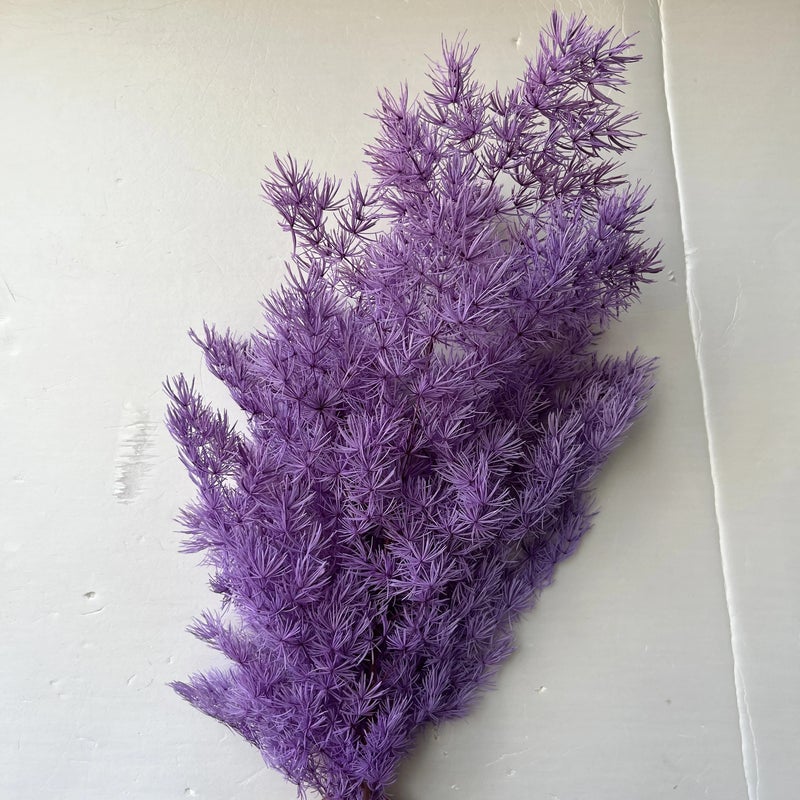 Bluejw Manufacturers Penglai Pine Dried Flower Bouquet - New Color Dried Plants for DIY Home Decor - Image 4