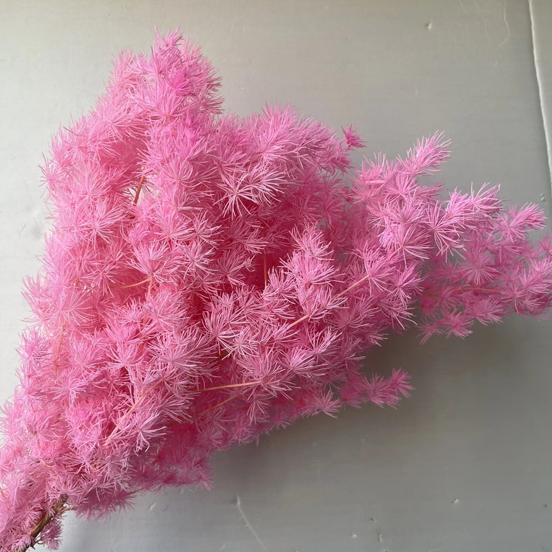 Bluejw Manufacturers Penglai Pine Dried Flower Bouquet - New Color Dried Plants for DIY Home Decor - Image 1