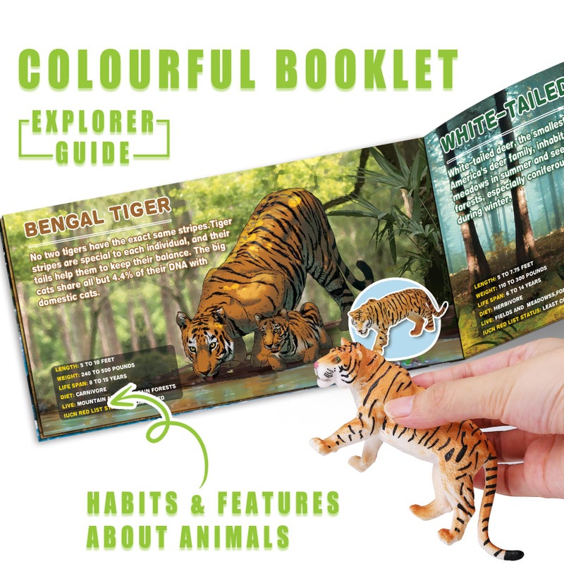KarberDark 13 Pack Wild Animal Toys with Educational Booklet and Gift Box, Realistic Safari Animals Figures for Kids, Plastic Zoo Animals Figurines for Toddler Ages 1-3, Jungle Birthday Party Favor for Boy Girl - Image 5