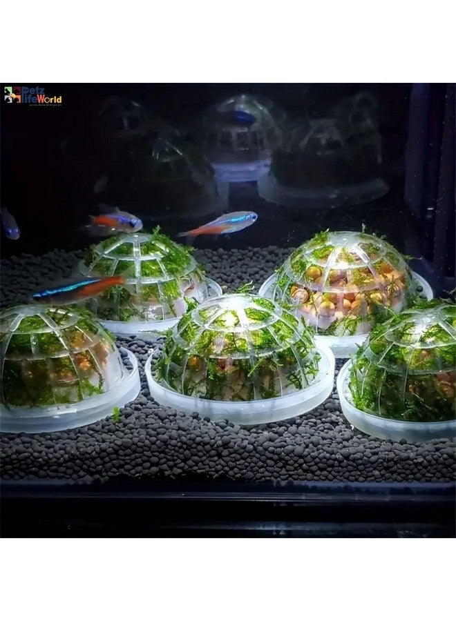 قطعتان من كرات الطحالب البلاستيكية على شكل نصف كرة لديكور حوض السمك، الديكور المثالي لحوض الأسماك من Petzlifeworld - Image 4