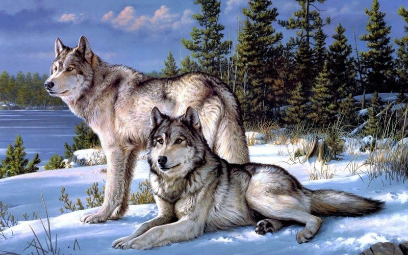 FunBlast FunBlast 5D Diamond Painting Kit 12x16inch Diamond Painting Kit for Adults Kids Suitable for Home Leisure and Wall Decoration Gift for Kids and Adults Wolf  - Image 1