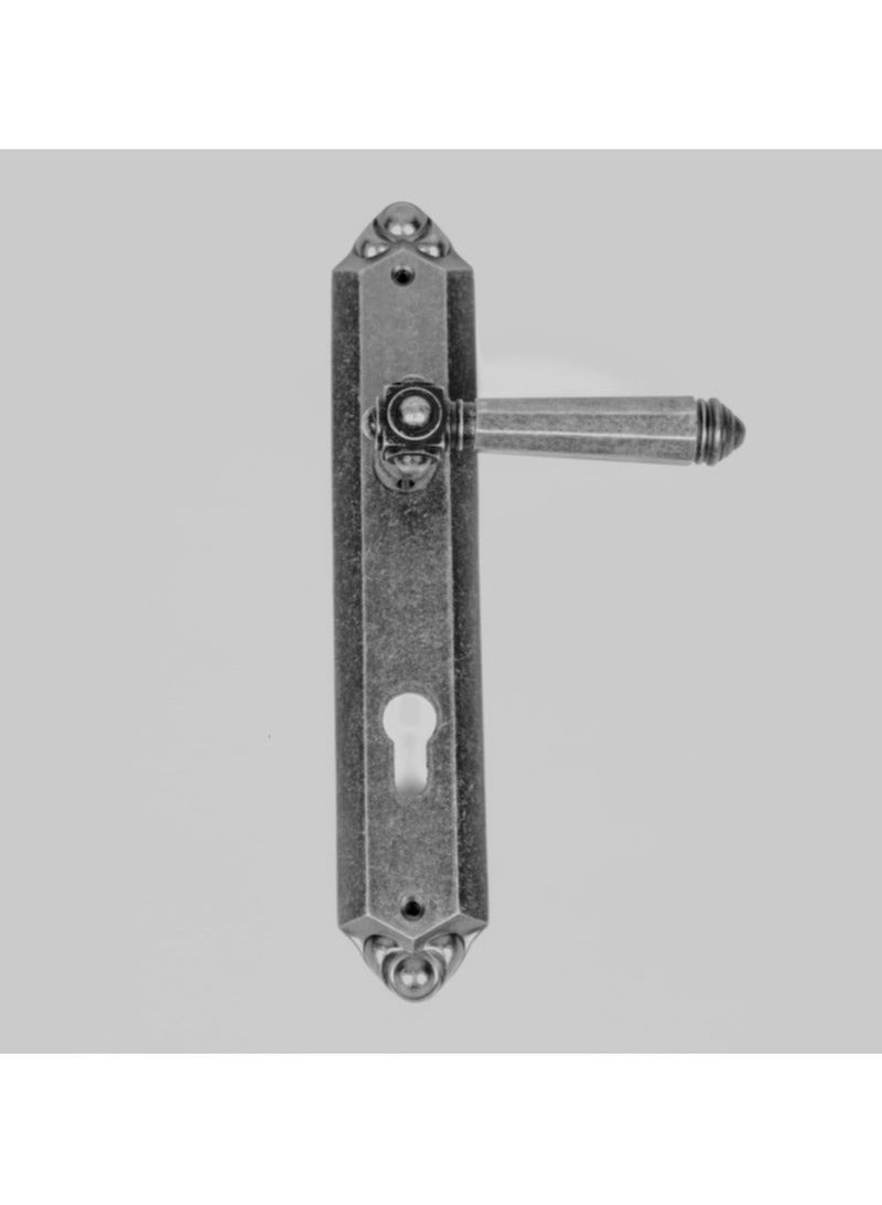 Siag Cylinder Door Handle - Image 2