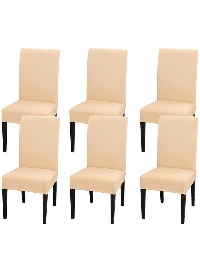 House of Quirk Polyester Spandex Plain Chair Cover Stretch Removable Washable Short Dining Chair Cover Protector Seat Slipcover (Cream, Pack of 6) - Image 1