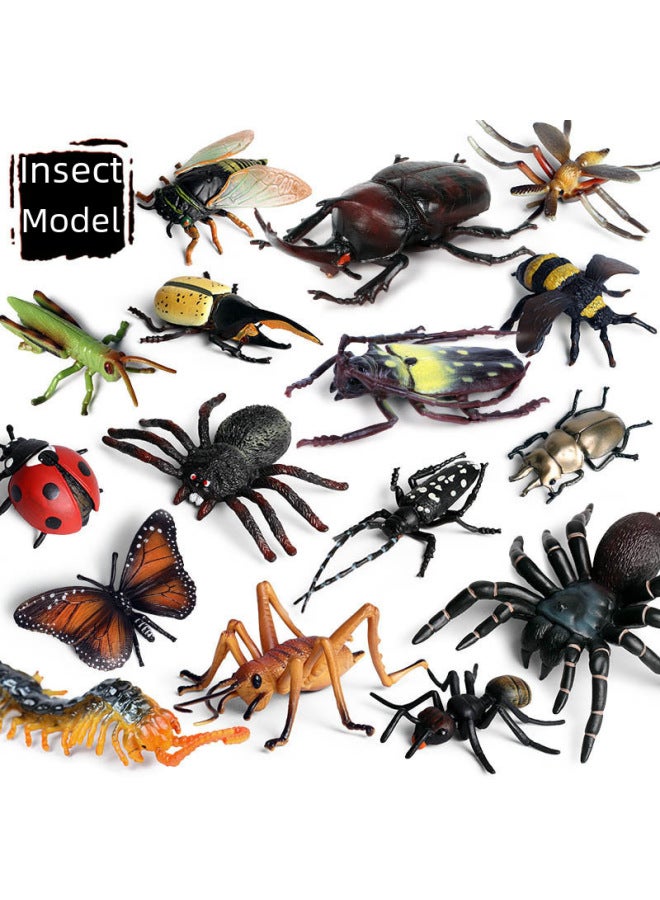 Children's Realistic Insect Toy Animal Models Honeybee Spider Dragonfly erfly Centipede Grasshopper Ant Lizard Figurines-Color:M-656 Grasshopper 】 - Image 2