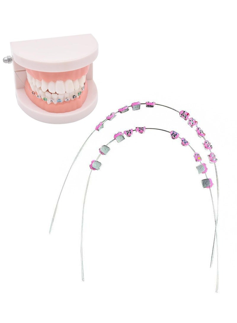 HaLunhi Temporary Tooth Decoration with Metal Wires，Metal Bracket and Orthodontic Ligature Ties，Practice Props for Dental Students（Pink）  - Image 1
