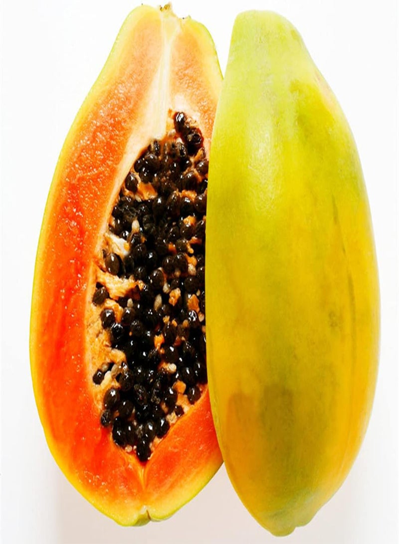 GGOOT 30Pcs Papaya Seeds Sweet and Juicy Oval Fruit Garden Planting Courtyard Farms Essential Crops Suitable Novice Gardeners - Image 1