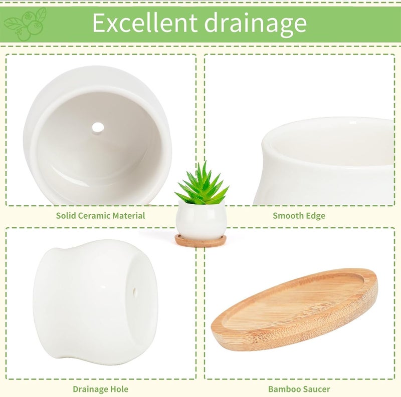 SHECIPIN 2 Pack Succulent Pots, 2.5 Inch Mini Ceramic Pots for Flower or Cactus Plants with Drainage Hole,Plants Not Included (White) - Image 3