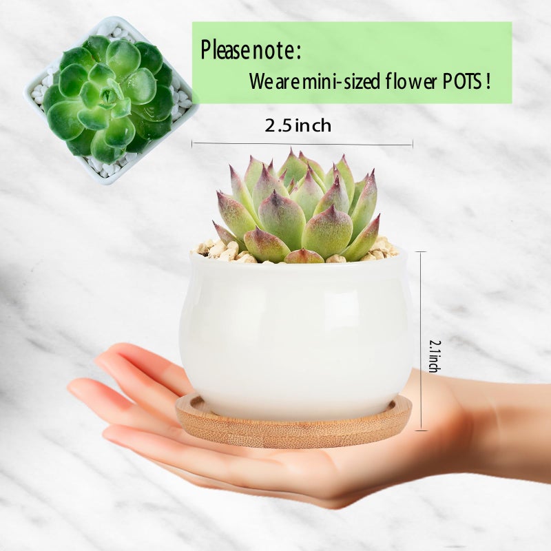 SHECIPIN 2 Pack Succulent Pots, 2.5 Inch Mini Ceramic Pots for Flower or Cactus Plants with Drainage Hole,Plants Not Included (White) - Image 2