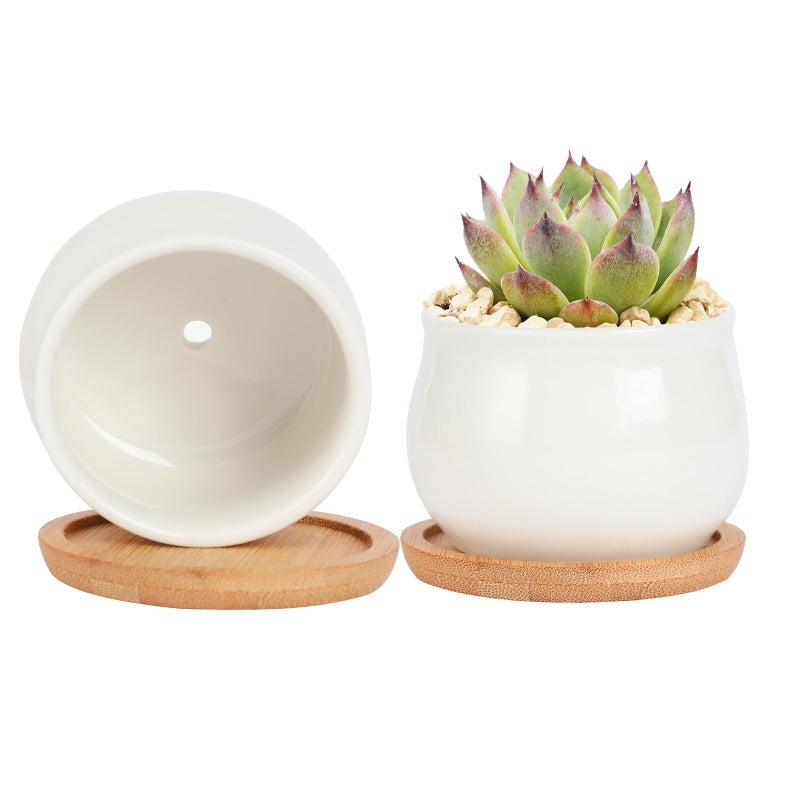SHECIPIN 2 Pack Succulent Pots, 2.5 Inch Mini Ceramic Pots for Flower or Cactus Plants with Drainage Hole,Plants Not Included (White) - Image 1
