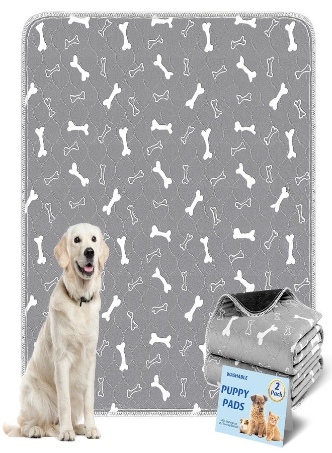 Bao dan Baodan Washable Pee Pads for Dogs Large 48" x 48" 2-Pack Reusable Puppy Pads Pet Training Pads, Fast Absorb Dog Mats, Waterproof Whelping Pad, Non-Slip Protects Against Urine Leakage - Image 1