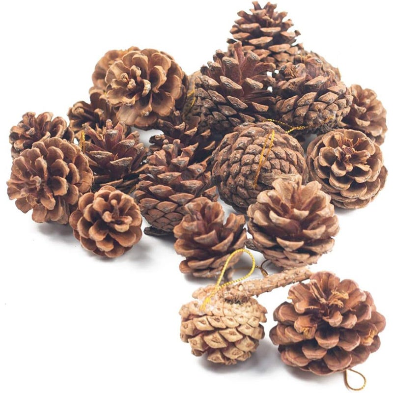 JOHOUSE 18PCS Hanging Natural Pine Cones (1.5"â€“2.5"), Rustic Pinecones with Strings for Garland, Christmas Tree Ornaments, Easter Wreath Making, Vase/Bowl Filler Spring Decor - Image 1