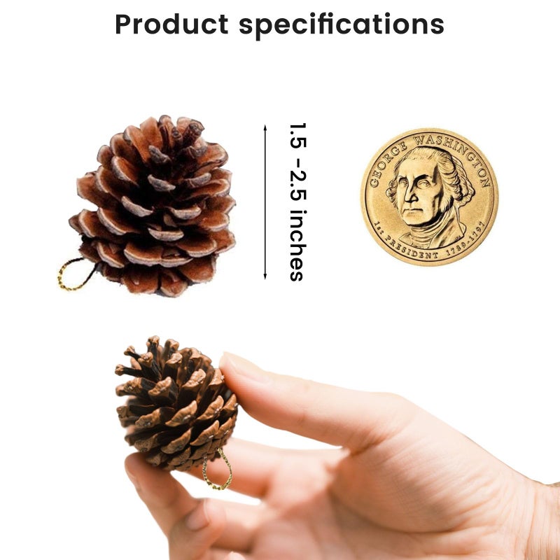JOHOUSE 18PCS Hanging Natural Pine Cones (1.5"â€“2.5"), Rustic Pinecones with Strings for Garland, Christmas Tree Ornaments, Easter Wreath Making, Vase/Bowl Filler Spring Decor - Image 2