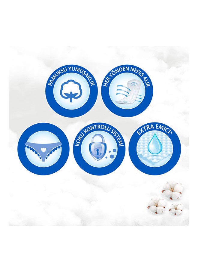 Daily Care First And Last Single Pack of 16 Pads